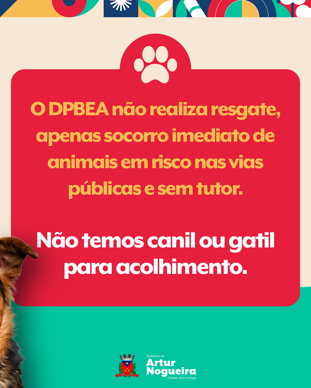 Serviços-do-DPBEA_v2-6