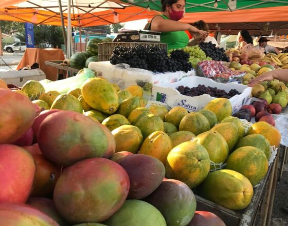 Feira Livre terá datas antecipadas e novo local para o Natal e Ano Novo