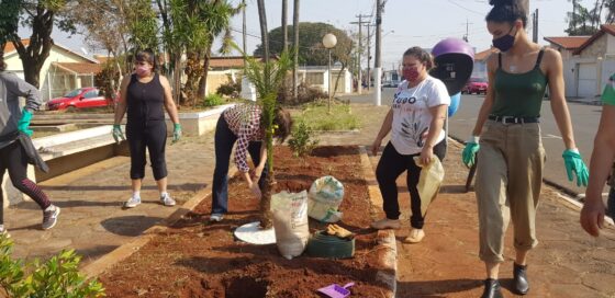 Prefeitura oferece curso gratuito de Kokedama