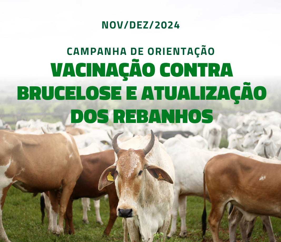 Prefeitura realiza campanha de orientação e apoio aos pecuaristas